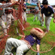 Illustration for article titled When Murderous, Rampaging Animals Are Fake and Look Goofy
